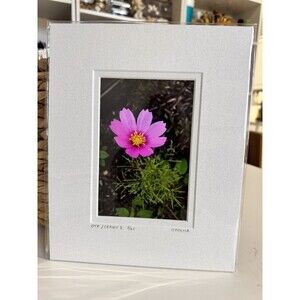 Original Photography 5X7 Picture Double Matted For 8X10 Frame